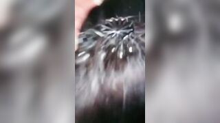अमर आणी दीपा यांचा गावराण झवाझवी मोबाइल विडिओ