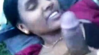 Desi aunty sucks and fucks in park with lover